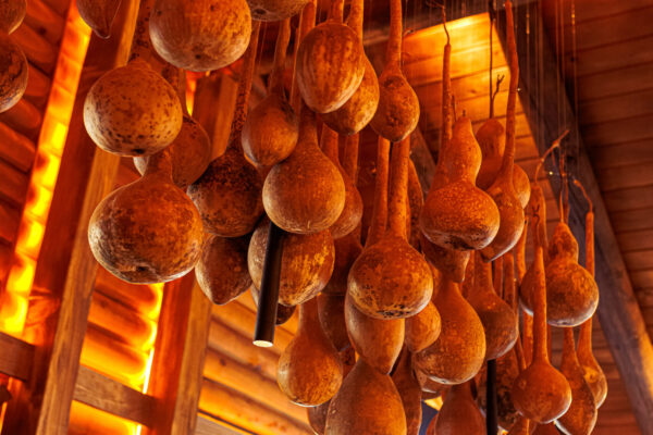 A cluster of dried gourds hanging from the ceiling in a wood-paneled interior, illuminated by warm, amber lighting.